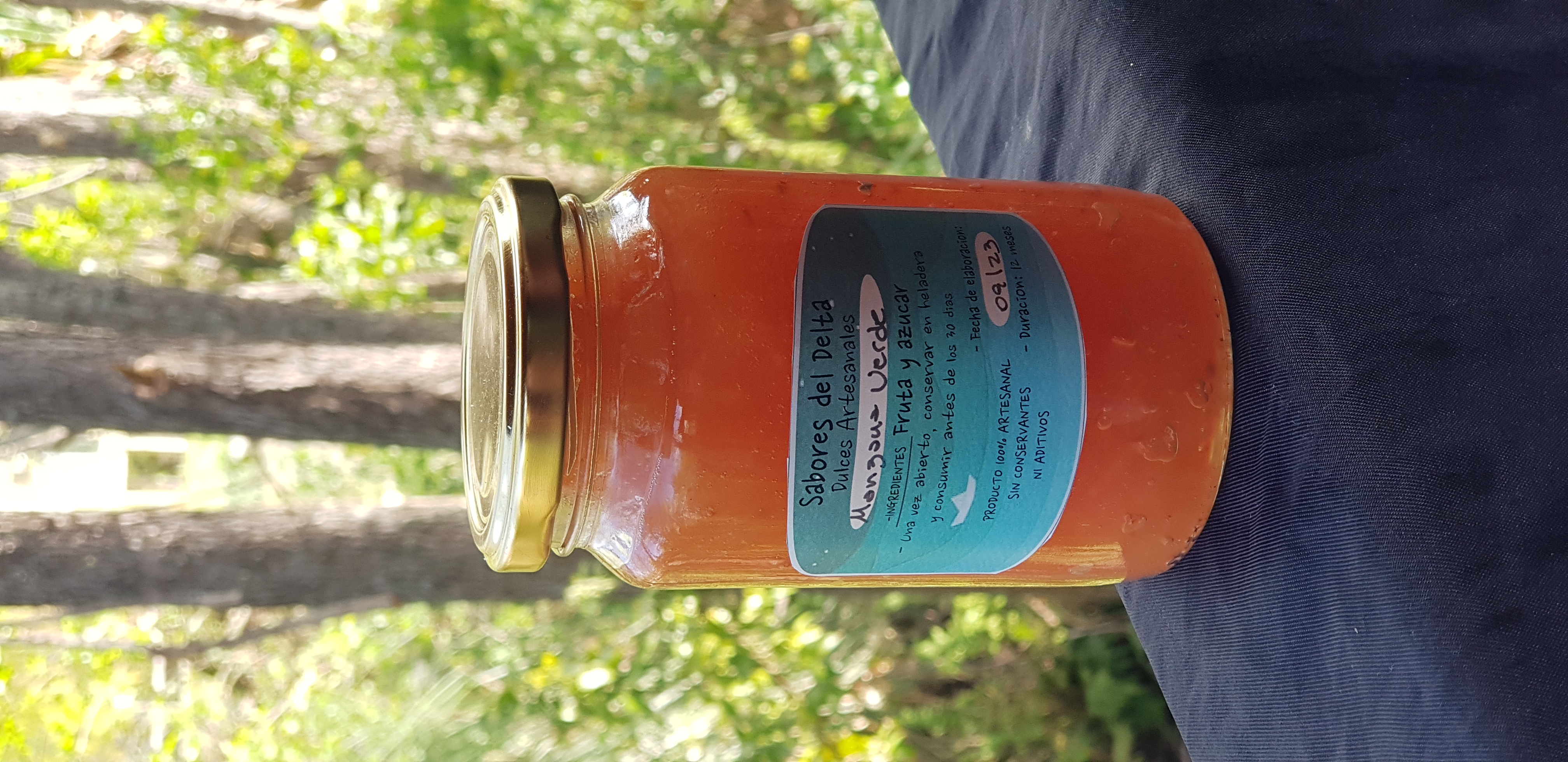 Imagen ilustrativa de Dulce de Manzanas Agro 360cc Sabores del Delta