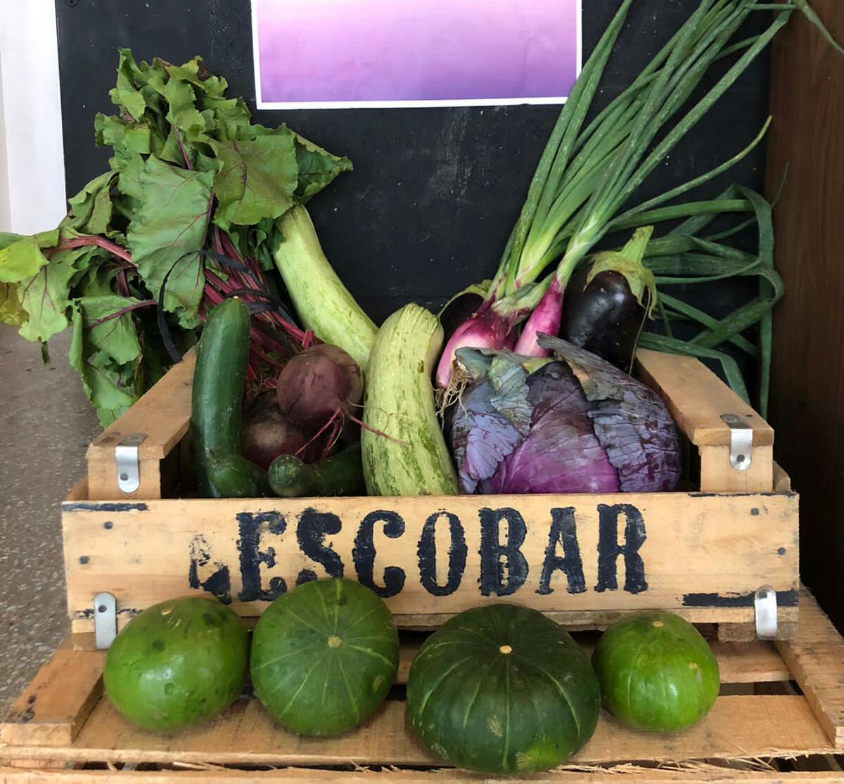 Imagen ilustrativa de Bolsón de verduras de estación 6 variedades