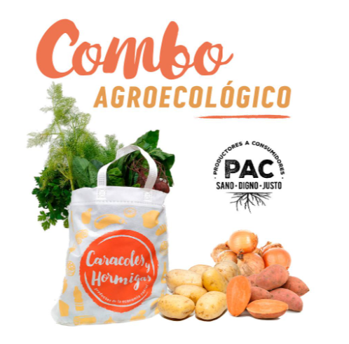 Imagen ilustrativa de COMBO BOLSÓN (Bolsón de Verduras+Bolsón de Pesadas)