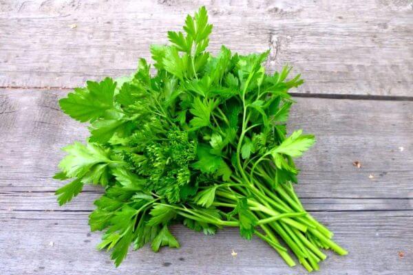 Imagen ilustrativa de Perejil agroecológico por atado