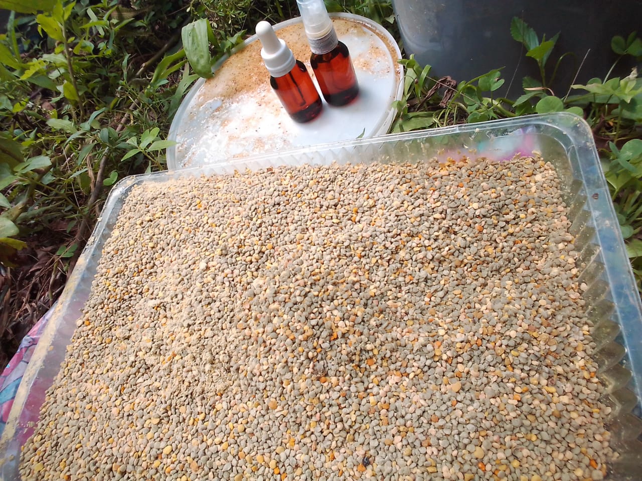 Imagen ilustrativa de Tintura de propoleo 45ml La Carpincha