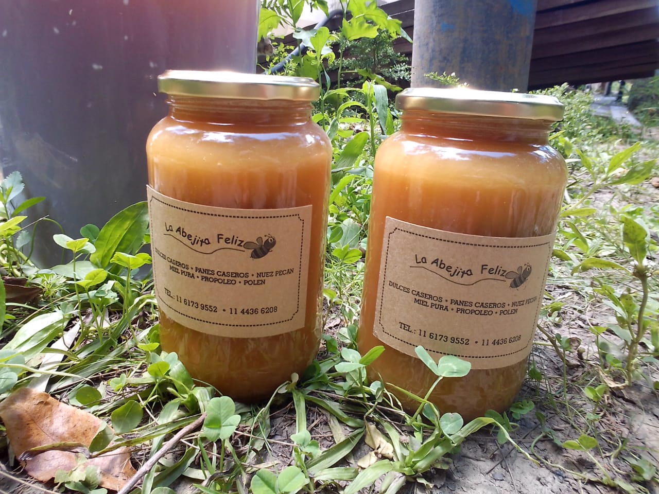 Imagen ilustrativa de Miel pura multiflora 360cc de isla "La Abejita Feliz"
